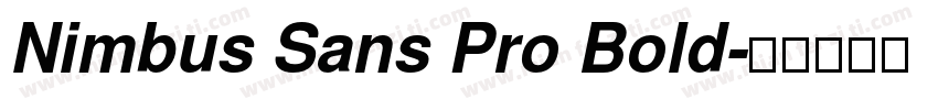 Nimbus Sans Pro Bold字体转换